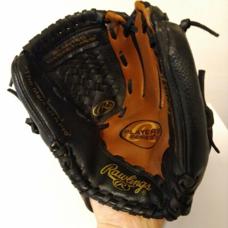 Rawlings R Baseball Glove 10" Youth PL10TB The Gold Glove CO Performance Design
